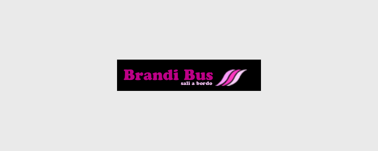 Brandi Bus