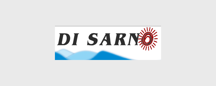 Di Sarno Group srl