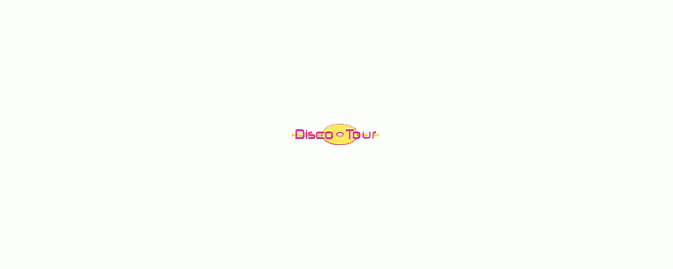 Disco Tour srl