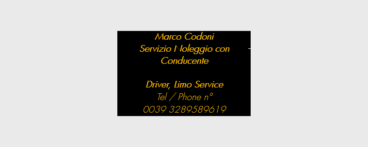 Marco Codoni Servizio Noleggio con Conducente Driver Service