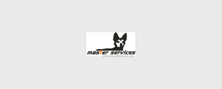 Master Services Sas