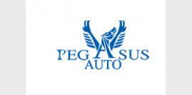autonoleggio Pegasus Auto Vendita e Noleggio