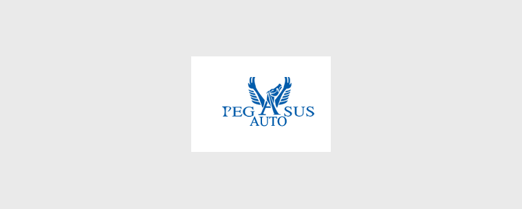 Pegasus Auto Vendita e Noleggio