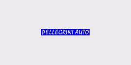 autonoleggio Pellegrini Auto