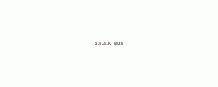 S.E.A.F. Bus Autonoleggio