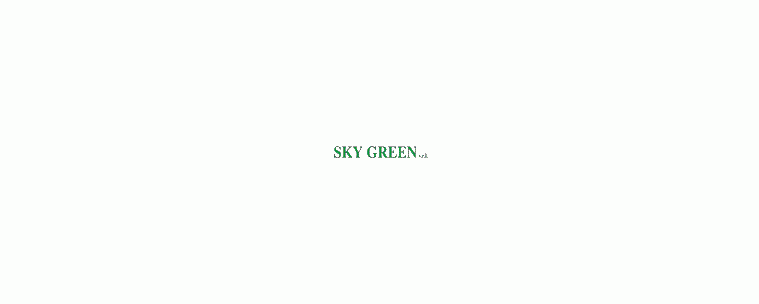 Sky Green Noleggio