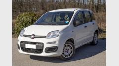 Fiat New panda - Novara