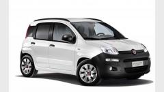 Fiat New panda - Lecce