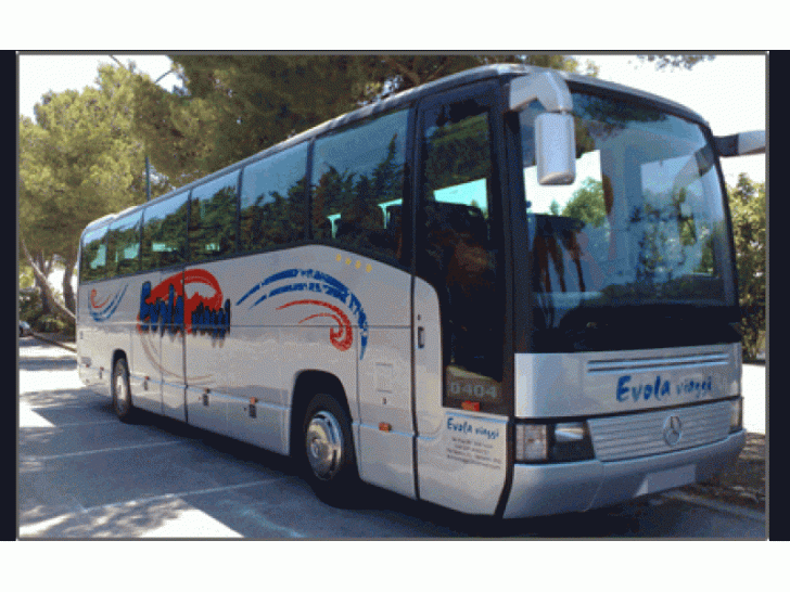 Noleggio con conducente di Autobus T1 bus a Terrasini e dintorni