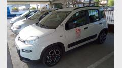 Fiat New panda - Massa-Carrara
