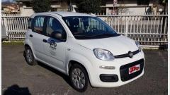 Fiat New panda - Massa-Carrara