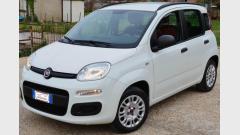 Fiat New panda - Roma